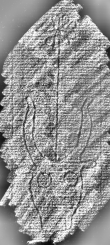 DE1185-S295_211 - Typ:0 - ID: 124457 - Eintrag Nr.: 2 Wasserzeichen DE1185-S295_211