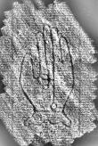 DE1185-S295_81 - Typ:0 - ID: 124463 - Eintrag Nr.: 9 Wasserzeichen DE1185-S295_81