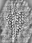 DE1185-S304_37 - Typ:0 - ID: 124706 - Eintrag Nr.: 6 Wasserzeichen DE1185-S304_37
