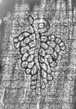 DE1185-S304_45 - Typ:0 - ID: 124707 - Eintrag Nr.: 5 Wasserzeichen DE1185-S304_45
