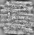 DE3315-GM9.B.IV._59 - Typ:0 - ID: 124764 - Eintrag Nr.: 33 Wasserzeichen DE3315-GM9.B.IV._59