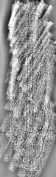 Wasserzeichen DE3315-GM12.B.VII._127
