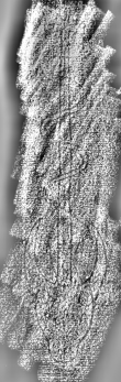DE3315-GM12.B.VII._127 - Typ:0 - ID: 124774 - Eintrag Nr.: 114 Wasserzeichen DE3315-GM12.B.VII._127