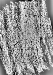 DE3315-GM12.B.VII._414 - Typ:0 - ID: 124775 - Eintrag Nr.: 74 Wasserzeichen DE3315-GM12.B.VII._414