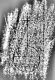 Wasserzeichen DE3315-GM13.B.VIII._29