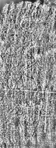DE3315-GM13.B.VIII._89 - Typ:0 - ID: 124783 - Eintrag Nr.: 117 Wasserzeichen DE3315-GM13.B.VIII._89