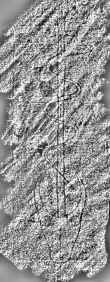 DE3315-GM13.B.VIII._999 - Typ:0 - ID: 124789 - Eintrag Nr.: 122 Wasserzeichen DE3315-GM13.B.VIII._999