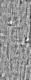 DE3315-GM14.B.IX._2 - Typ:0 - ID: 124793 - Eintrag Nr.: 125 Wasserzeichen DE3315-GM14.B.IX._2