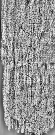 Wasserzeichen DE3315-GM14.B.IX._108