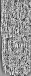 DE3315-GM14.B.IX._108 - Typ:0 - ID: 124796 - Eintrag Nr.: 128 Wasserzeichen DE3315-GM14.B.IX._108