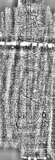 DE3315-GM14.B.IX._361 - Typ:0 - ID: 124800 - Eintrag Nr.: 130 Wasserzeichen DE3315-GM14.B.IX._361
