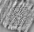 DE1185-S319_229 - Typ:0 - ID: 124972 - Eintrag Nr.: 8 Wasserzeichen DE1185-S319_229