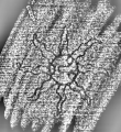 DE1185-S319_4 - Typ:0 - ID: 124977 - Eintrag Nr.: 3 Wasserzeichen DE1185-S319_4