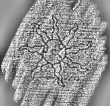 DE1185-S319_5 - Typ:0 - ID: 124978 - Eintrag Nr.: 2 Wasserzeichen DE1185-S319_5