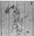 DE4815-DNB-L-WZ-0009708 - Typ:1 - ID: 124986 - Eintrag Nr.: 56 Wasserzeichen DE4815-DNB-L-WZ-0009708
