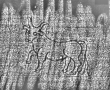 DE1185-S326_10 - Typ:0 - ID: 124998 - Eintrag Nr.: 22 Wasserzeichen DE1185-S326_10