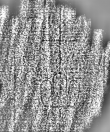 DE1185-S326_121 - Typ:0 - ID: 125001 - Eintrag Nr.: 4 Wasserzeichen DE1185-S326_121
