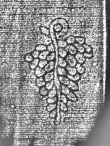 DE1185-S326_80 - Typ:0 - ID: 125039 - Eintrag Nr.: 39 Wasserzeichen DE1185-S326_80