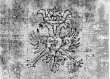 DE0945-Bach4205_6 - Typ:0 - ID: 125145 - Eintrag Nr.: 10 Wasserzeichen DE0945-Bach4205_6