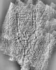 DE1185-S327_138 - Typ:0 - ID: 125175 - Eintrag Nr.: 95 Wasserzeichen DE1185-S327_138