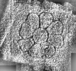 DE1185-S327_150 - Typ:0 - ID: 125178 - Eintrag Nr.: 18 Wasserzeichen DE1185-S327_150