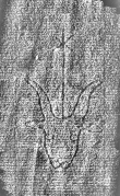 DE1185-S327_157 - Typ:0 - ID: 125181 - Eintrag Nr.: 15 Wasserzeichen DE1185-S327_157