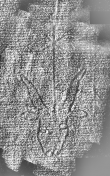 DE1185-S327_166 - Typ:0 - ID: 125185 - Eintrag Nr.: 12 Wasserzeichen DE1185-S327_166