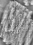 DE1185-S327_183 - Typ:0 - ID: 125191 - Eintrag Nr.: 22 Wasserzeichen DE1185-S327_183