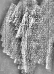 DE1185-S327_223 - Typ:0 - ID: 125199 - Eintrag Nr.: 137 Wasserzeichen DE1185-S327_223