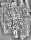 DE1185-S327_224 - Typ:0 - ID: 125200 - Eintrag Nr.: 138 Wasserzeichen DE1185-S327_224