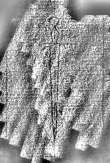 DE1185-S327_226 - Typ:0 - ID: 125201 - Eintrag Nr.: 139 Wasserzeichen DE1185-S327_226