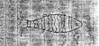 DE0945-Graun4114_1a - Typ:0 - ID: 125218 - Eintrag Nr.: 8 Wasserzeichen DE0945-Graun4114_1a