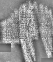 DE1185-S327_72 - Typ:0 - ID: 125264 - Eintrag Nr.: 142 Wasserzeichen DE1185-S327_72