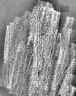 DE1185-S327_84 - Typ:0 - ID: 125267 - Eintrag Nr.: 143 Wasserzeichen DE1185-S327_84