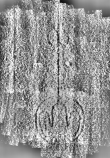 Wasserzeichen DE1185-S327_98