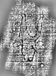 DE3315-GMII.E.64._323 - Typ:0 - ID: 125330 - Eintrag Nr.: 217 Wasserzeichen DE3315-GMII.E.64._323