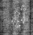 DE4815-DNB-L-WZ-0010001 - Typ:1 - ID: 125493 - Eintrag Nr.: 3 Wasserzeichen DE4815-DNB-L-WZ-0010001