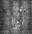 DE4815-DNB-L-WZ-0010003 - Typ:1 - ID: 125508 - Eintrag Nr.: 7 Wasserzeichen DE4815-DNB-L-WZ-0010003