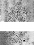 Wasserzeichen DE0960-Conti_I_M1N_4