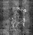 DE4815-DNB-L-WZ-0010004 - Typ:1 - ID: 125514 - Eintrag Nr.: 9 Wasserzeichen DE4815-DNB-L-WZ-0010004