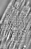DE1185-S480_155 - Typ:0 - ID: 125591 - Eintrag Nr.: 71 Wasserzeichen DE1185-S480_155