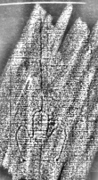 DE1185-S480_198 - Typ:0 - ID: 125599 - Eintrag Nr.: 149 Wasserzeichen DE1185-S480_198