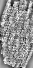 Wasserzeichen DE1185-S497_43