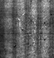DE4815-DNB-L-WZ-0010118 - Typ:1 - ID: 125776 - Eintrag Nr.: 157 Wasserzeichen DE4815-DNB-L-WZ-0010118
