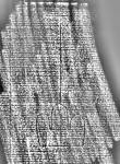 DE1185-S594_227 - Typ:0 - ID: 125860 - Eintrag Nr.: 151 Wasserzeichen DE1185-S594_227