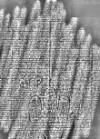 DE1185-S594_233 - Typ:0 - ID: 125861 - Eintrag Nr.: 152 Wasserzeichen DE1185-S594_233
