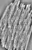 DE1185-S594_244 - Typ:0 - ID: 125863 - Eintrag Nr.: 154 Wasserzeichen DE1185-S594_244