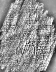 DE1185-S594_319 - Typ:0 - ID: 125866 - Eintrag Nr.: 157 Wasserzeichen DE1185-S594_319