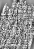 DE1185-S594_370 - Typ:0 - ID: 125886 - Eintrag Nr.: 160 Wasserzeichen DE1185-S594_370