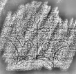 DE1185-S719_232 - Typ:0 - ID: 125917 - Eintrag Nr.: 11 Wasserzeichen DE1185-S719_232